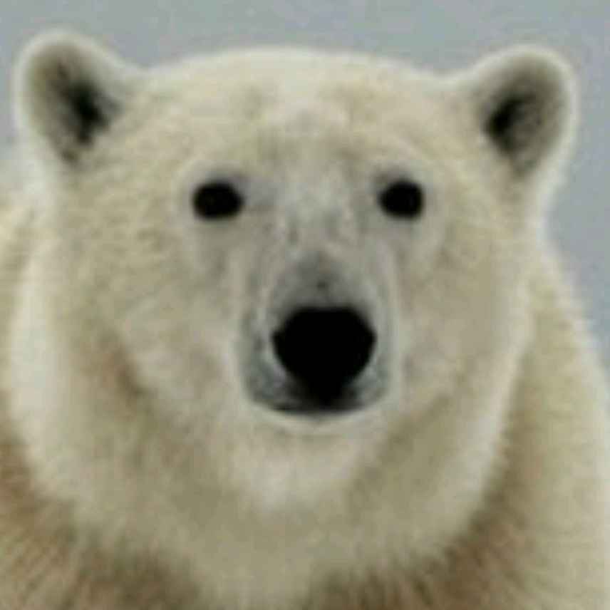 Smlarf avatar